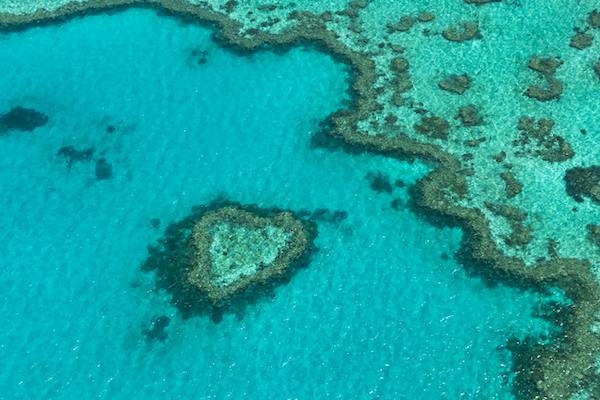 barriere de corail